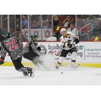 Monsters Tamed by Wild, 6-1
