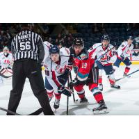 Rockets Set to Weather the Storm as the Hurricanes Visit Prospera Place