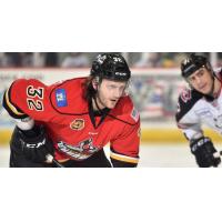 Solar Bears Acquire J.C. Campagna
