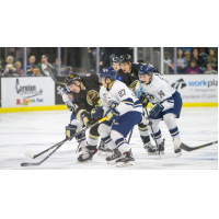 How Sweep It Is, Herd Down Muskegon 7-4