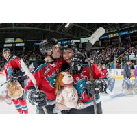 5th Annual Teddy Bear Toss