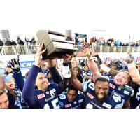 CFL News -