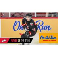 The CHL Hockey