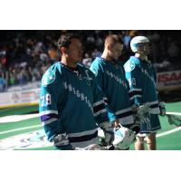 Knighthawks Announce 2017-18 Roster