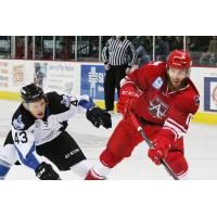 Steelheads Late Comeback Falls Short in Loss to Americans