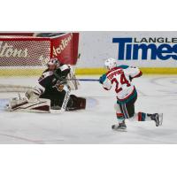 Kelowna Rockets defeated the Vancouver Giants