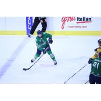 Mingoia's Hat Trick Lifts Admirals Past 'Blades in Overtime
