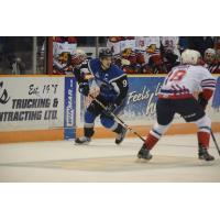 WILLIAMS WINS GOALTENDING DUEL ASSEA DOGS EDGE WILDCATS