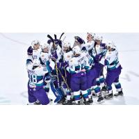 Solar Bears Weekly Report
