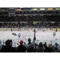 Steelheads to Host Teddy Bear Toss for Tots on Saturday
