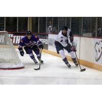 Chris Joseph Loaned to Jacksonville IceMen of ECHL