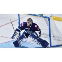 Orlando's Heeter Named CCM & ECHL Goaltender of the Week