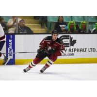 Giants Acquire 1998-Born Forward Jared Dmytriw from Red Deer