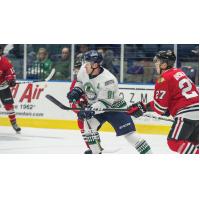 Florida's MacAulay Named Sher-Wood Hockey ECHL Player of the Week