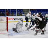 Giants Stun the T-Birds