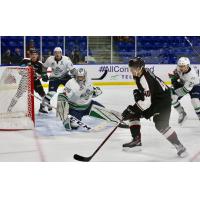Giants Stun the T-Birds with a 4-3 Overtime Win