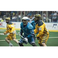 Knighthawks to Battle Swarm in Preseason Finale