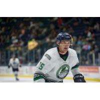 Swamp Rabbits SkipPast Everblades 5-4 in Shootout