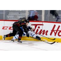 Moose Trample Monsters in Winnipeg, 7-1