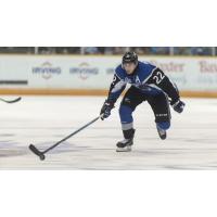 SEA DOGS FALL TO FIRST-PLACEVOLTIGEURS