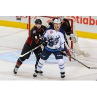 Monsters Stifled by Moose