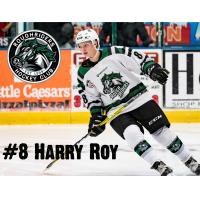 RoughRiders Roy Named to USHL/NHL Top Prospect Game