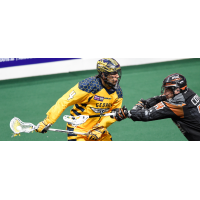 Georgia Swarm Opens 2017-18 NLL Season Friday against New England Black Wolves
