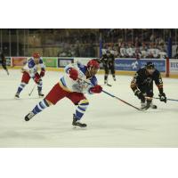 Mayhem Acquire Paul Russell from Roanoke in Flurry of Moves