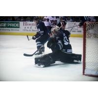Mayhem Add Third Goaltender, Sign Greg Dodds