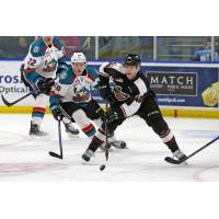 Milos Roman to Play in 2018 CHL/NHL Top Prospects Game
