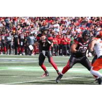 RedBlacks Re-Sign Trevor Harris