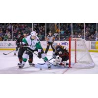 Monsters Nipped by Stars in OT, 5-4