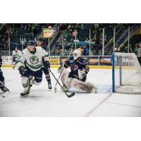 Jakaitis Earns Shutout as Rays Top 'Blades 1-0