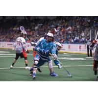 Knighthawks and Bandits in Holiday Showdown