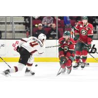 Monsters Storm Back in Third to Top Wild