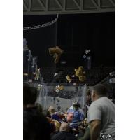 Admirals Donate over 1,000 Toys to Toys for Tots After Teddy Toss
