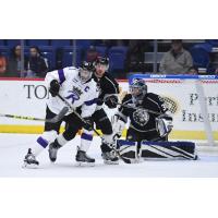 Monarchs Light up Royals