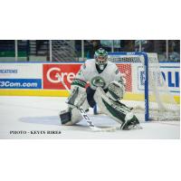 Florida's Ouellette Named Goaltender of the Week