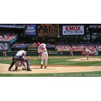 Outfield