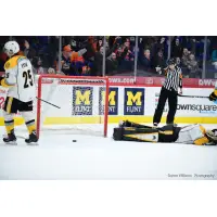 Flint Firebirds vs. Sarnia Sting