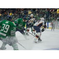 Florida Everblades vs. Greenville Swamp Rabbits