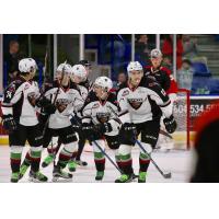 Vancouver Giants Celebrate