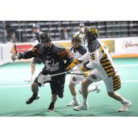 Forward Pat Saunders with the New England Black Wolves