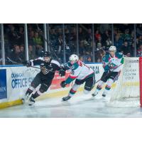 Matt Barber of the Vancouver Giants vs. the Kelowna Rockets