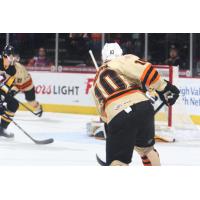 Greg Carey of the Lehigh Valley Phantoms faces the goal