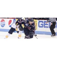 South Carolina Stingrays Defenseman Danny Federico vs. the Norfolk Admirals