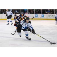 Idaho Steelheads Defenseman Shane Hanna