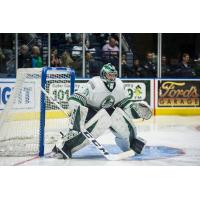 Florida Everblades Goaltender Martin Ouellette