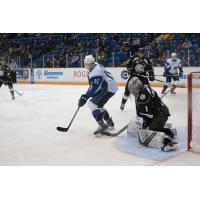 Saint John Sea Dogs vs. the Charlottetown Islanders