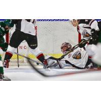 Vancouver Giants Goaltender David Tendeck sprawls for a save vs. the Evertt Silvertips